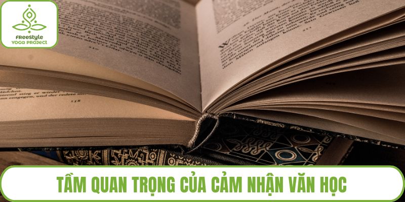 Tầm quan trọng của cảm nhận văn học
